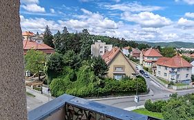 Apartman Březinova